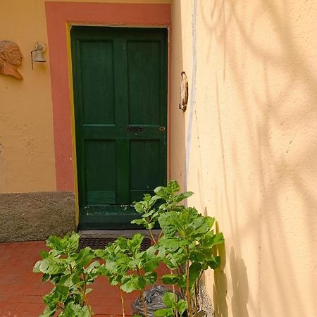 Norina'S House Villa Monterosso al Mare Luaran gambar