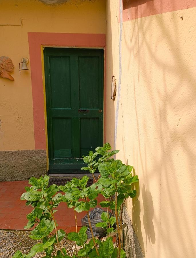 Norina'S House Villa Monterosso al Mare Luaran gambar